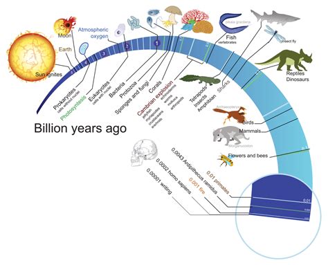 Theory Of Evolution Charles Darwin And Natural Selection Earth How