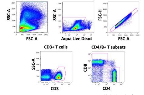 Researchers Link Immune Cell Activity To Psychiatric Symptoms In Women