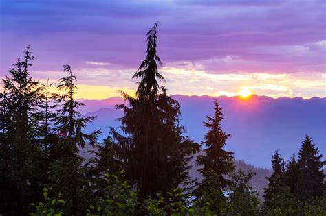 Puesta de sol escénica en las montañas otoño Foto Premium