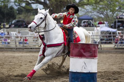 Barrel Racing Basics, Tips and Safety