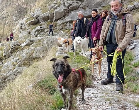 Alla Scoperta Delle Bellezze Della Montagna