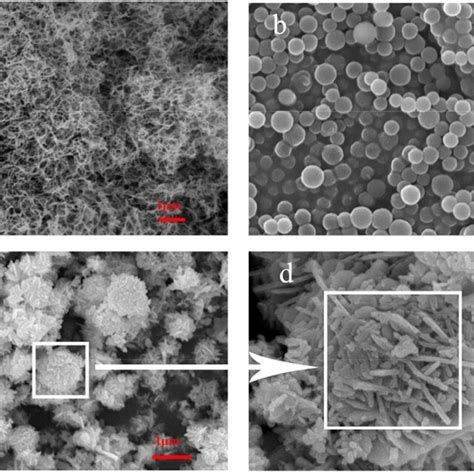 SEM Images Of The Asobtained CNC ZnO Nanocomposites Sample A CNC SEM