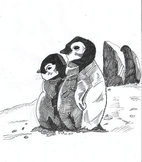 Couple Of Penguin Drawing by Gerson Vega - Fine Art America