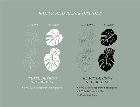 Monstera Leaf Clip Art EPS Hand Drawn Botanical Line Art SVG Circuit