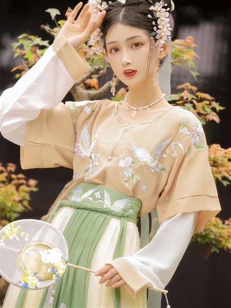 Chinese Dress Traditional Tanling Qiyao Ruqun Female Fashion Hanfu