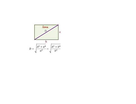 El Perimetro De Un Rectangulo Es Si El Largo Es El Doble Del Ancho