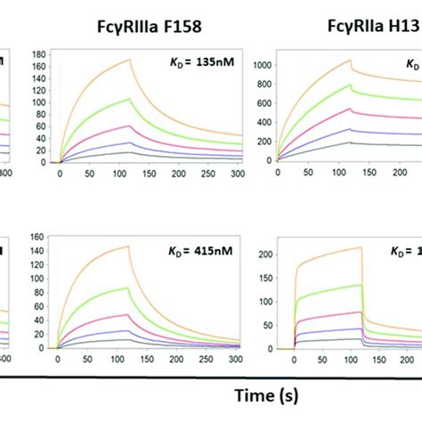 Binding kinetics of the high and low affinity variants of FcγRIIIa