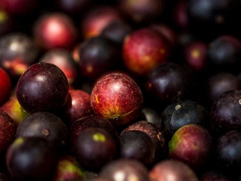 Camu Camu La Fruta Con M S Vitamina C En El Mundo Plaza Vegana