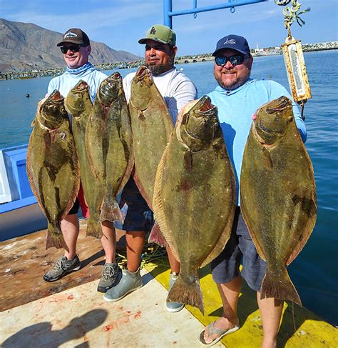 Photo Halibut Discover Baja Travel Club