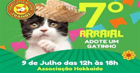 Arraial Da Adote Um Gatinho Em S O Paulo Sympla