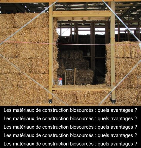 Les matériaux de construction biosourcés quels avantages