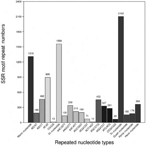 SSR Distribution The X Axis Shows The Different Types Of Repeat Units