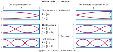 What Is The First Overtone Frequency For An Organ Pipe 2 00 M In Length