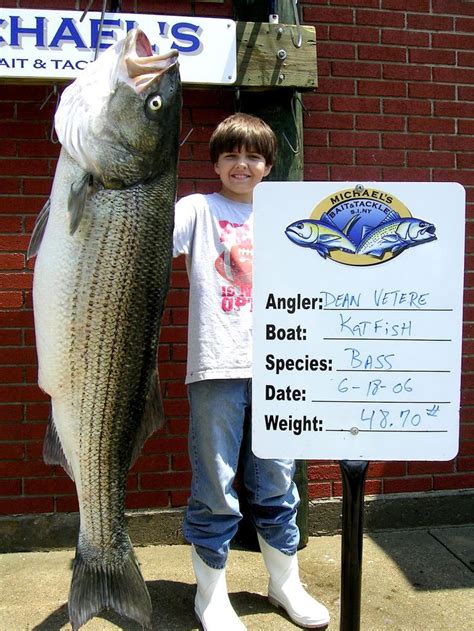 Biggest Striped Bass In The World