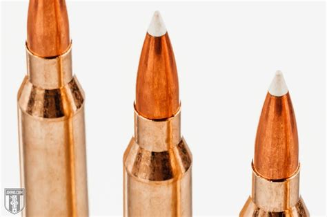 338 Win Mag Vs 338 Lapua Caliber Comparison By Ammo