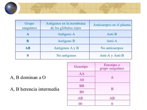 Alelos Múltiples BIOLOGIA UMB 2013