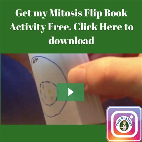 Do you teach Mitosis? I just posted my Mitosis Flip Book activity if you're interested - free ...