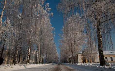 Погода в Ижевске на неделю с 10 по 12 января ожидаются морозы до 27С