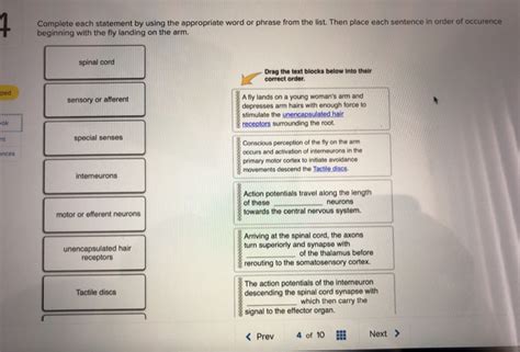 Solved 7 Complete Each Statement By Using The Appropriate Chegg