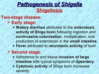 Shigella Ppt