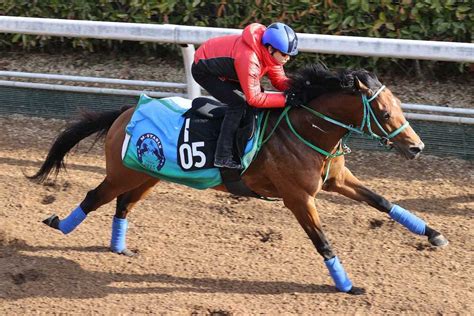 【スプリングs】ヴィクティファルス中山で輝く 池添「力を出せるはず」― スポニチ Sponichi Annex ギャンブル