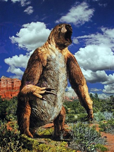 Ancient Giant Sloth Fossil : These Animals Were Just As Awesome and ...