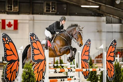 Vmp Horse Shows 2023 Viola Mitchell Photography