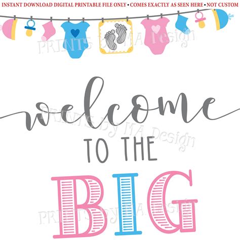 Welcome To The Big Reveal Sign Pink Or Blue Gender Reveal Party