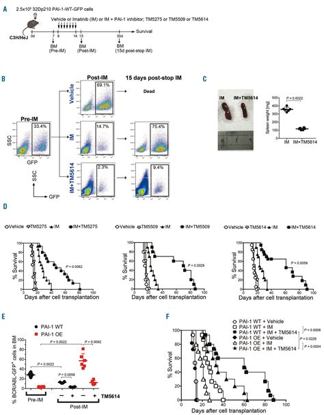 Targeting Of Plasminogen Activator Inhibitor Activity Promotes