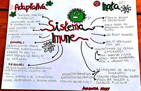 SISTEMA IMUNOLÓGICO Mapa mental Imunologia Mapa