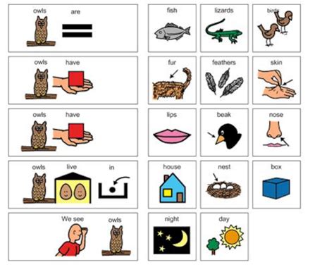 Describing Objects By Their Attributes Worksheet Twinkl Worksheets