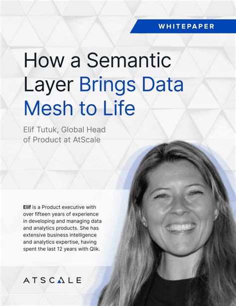 The Principles Of Data Mesh And The Semantic Layer Atscale