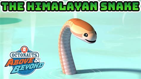 Octonauts Above And Beyond The Himalayan Snake Compilation