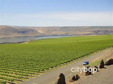 10 BEST Things to Do at Maryhill Winery