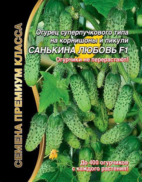 Огурец Санькина Любовь F1 | Дачная Коллекция