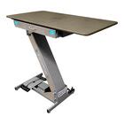 Groomer S Best GB44LPT G 22 X 44 Low Profile Electric Gray Grooming Table