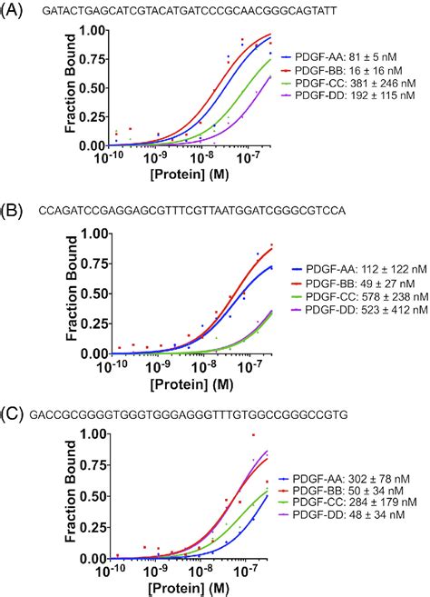 A Systematic Evolution Of Ligands By Exponential Enrichment Workflow