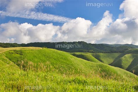 【阿蘇北外輪山の草原】の画像素材 31785981 写真素材ならイメージナビ