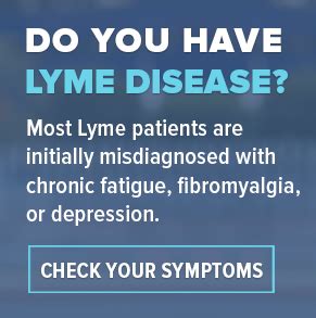 Prevention Steps Against Tick Borne Illness Lymedisease Org