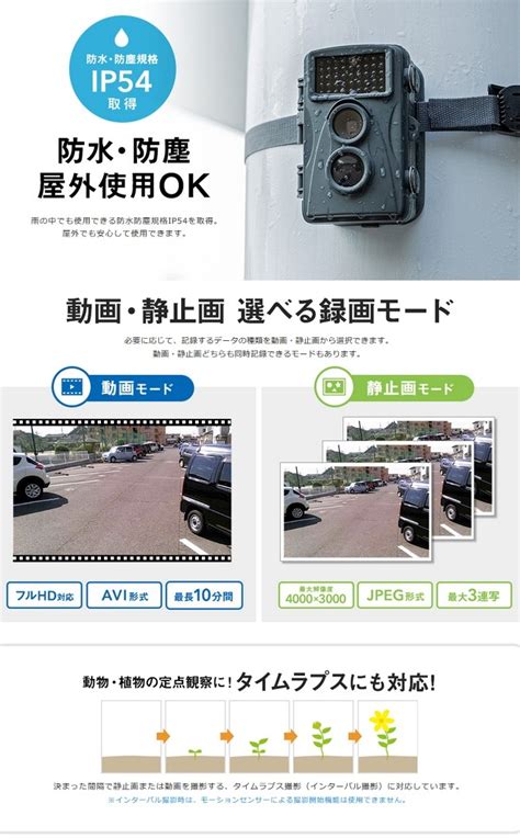 サンワサプライ セキュリティカメラ Cms Sc01gy 車用防犯カメラ 車用監視カメラ 防水 暗闇 夜間 赤外線 センサー 激安通販ショッピング