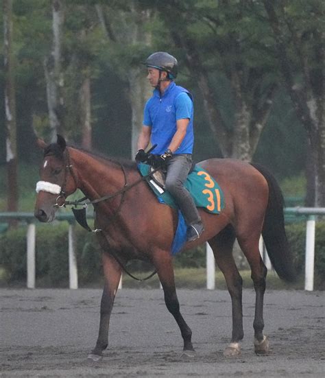 【東京新馬戦】アーモンドアイ初子アロンズロッド初陣vだ ルメールはベタ褒め「お母さんと一緒で冷静」 2024年10月22日掲載