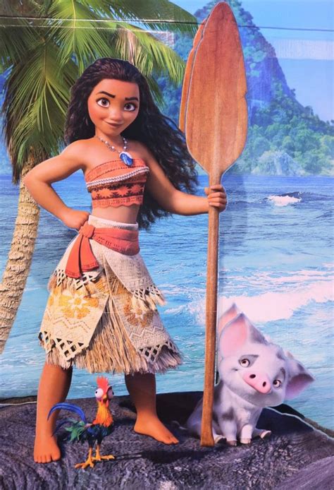 Va Ana Le Rayon De Soleil De Votre Hiver Avec Images Moana Disney