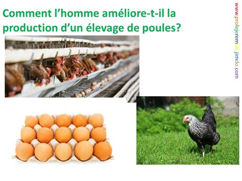 Ch Des Aliments Issus De L Levage Ou De La Culture Ppt Video Online