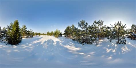 Paisaje Incre Ble Con Cielos Azules Y Rboles Nevados En Invierno