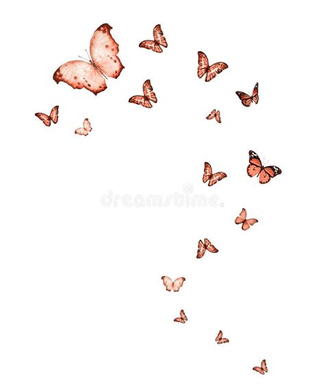 Flock Of Flying Butterflies Isolated Stock Image Image Of Fragility