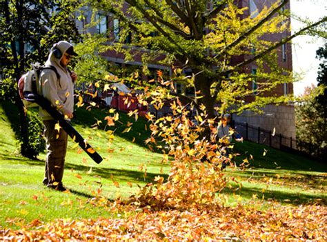 Fall Clean Up Landscaping Landscaping