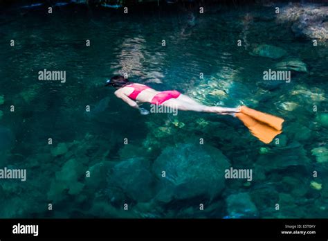 Woman Practising Breath Holding Diving Stock Photo Royalty Free Image