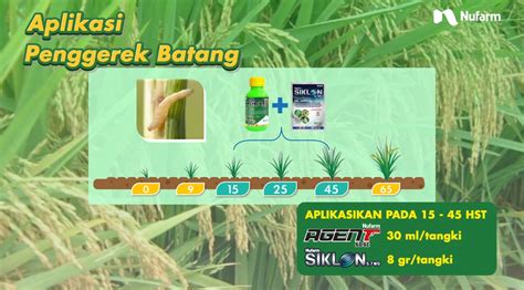 Hama Penggerak Batang Padi Nufarm Indonesia