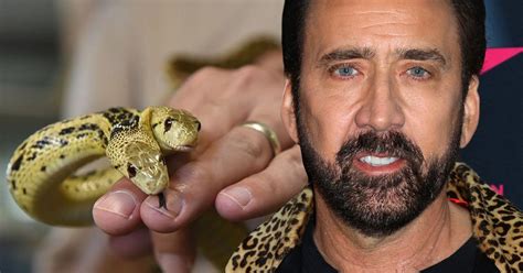 Why Nic Cage Owned A Two Headed Snake And A Pet Crow And The Rest Of