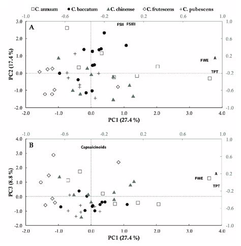 Scatter Plot Of The Principal Component Analysis Pca Analysis For